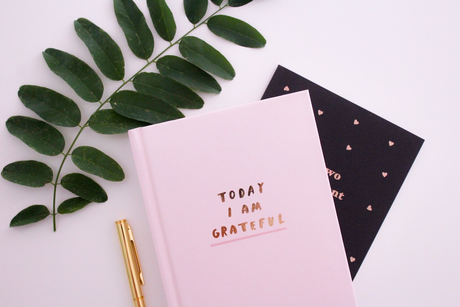 Lessons Learned from Unexpected Moments